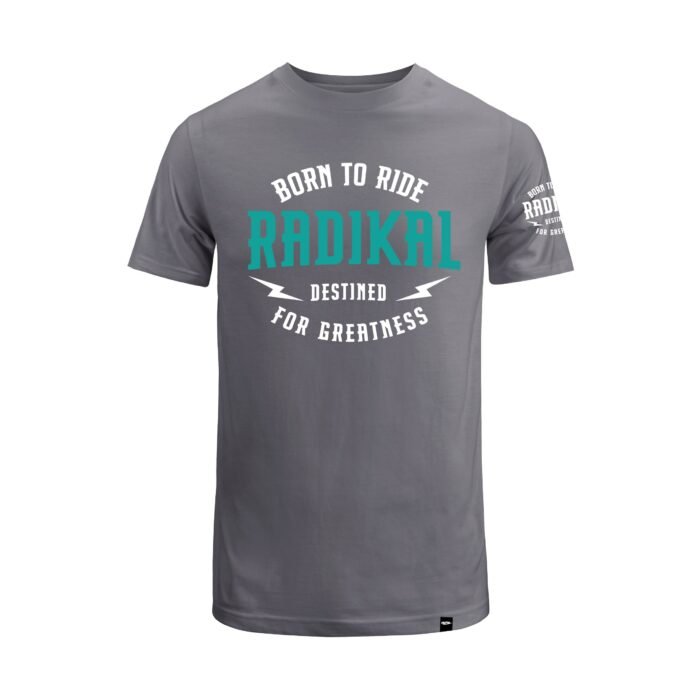 REMERA DESTINED GRIS - Image 1