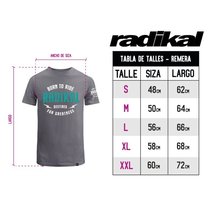 REMERA DESTINED GRIS - Image 2