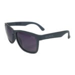 LENTES COMPASS GRIS